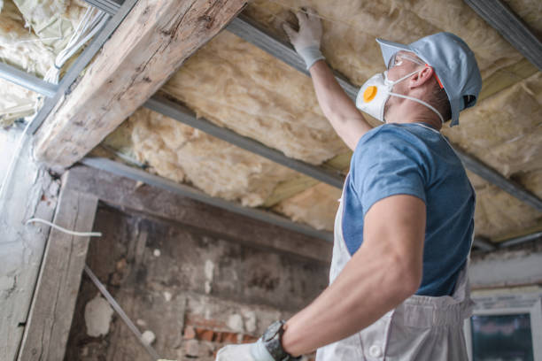 Best Cellulose Insulation in Sackets Harbor, NY